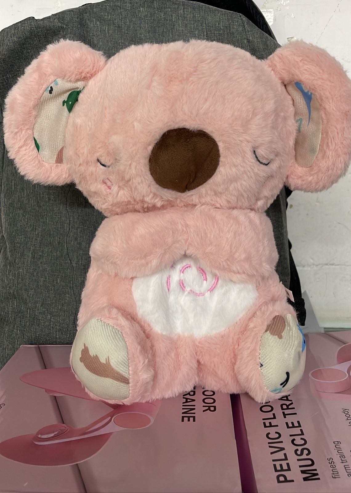 Koala que respira