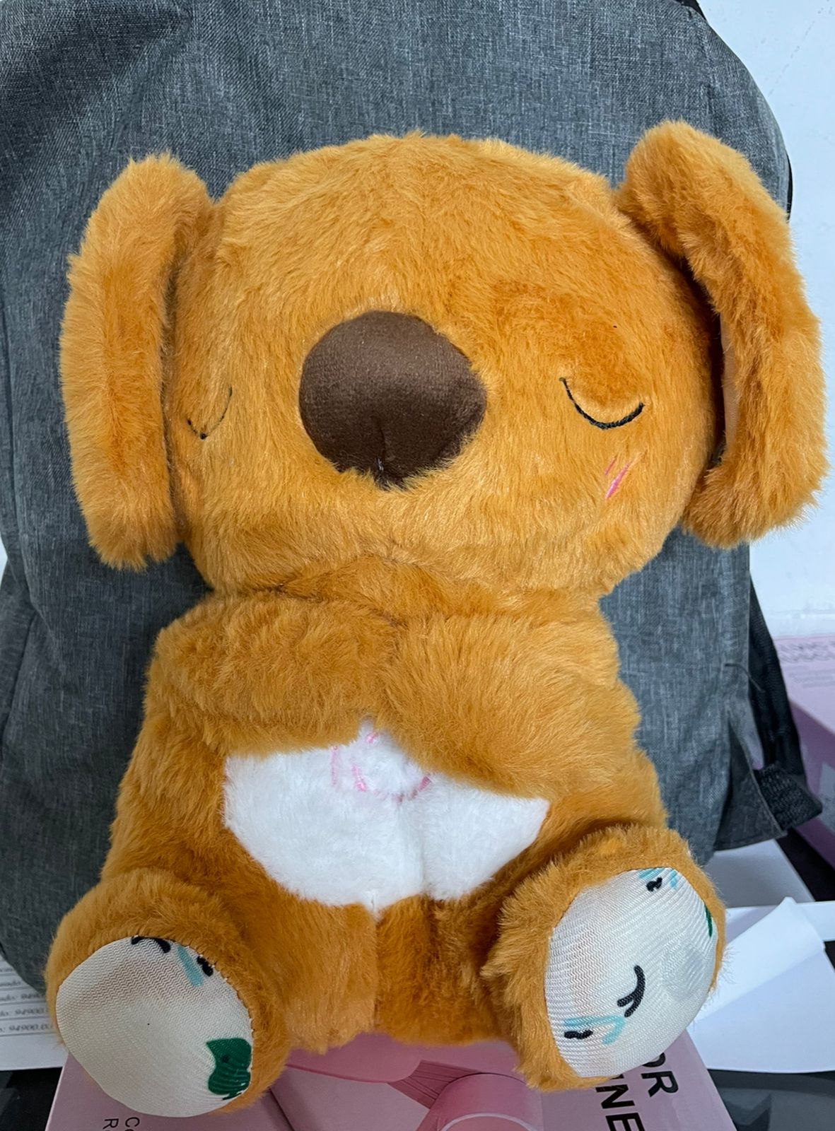 Koala que respira