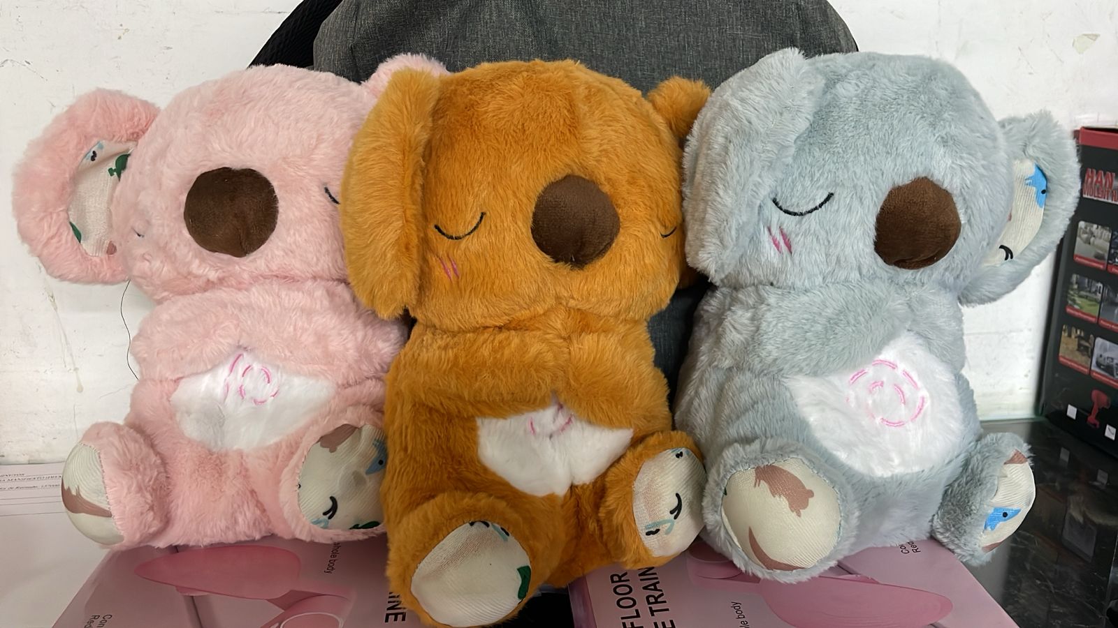 Koala que respira